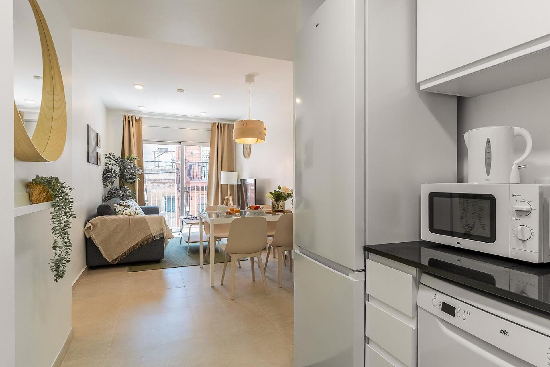 4237 - Ab Santa Coloma Iii Apartment